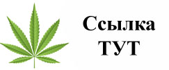 Купить наркотики в Беломорске